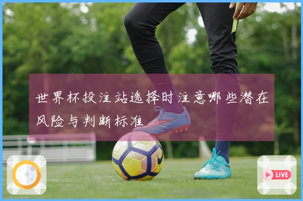 世界杯投注站选择时注意哪些潜在风险与判断标准